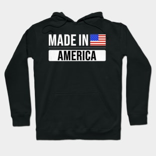 Made In America - Gift for American With Roots From America Hoodie